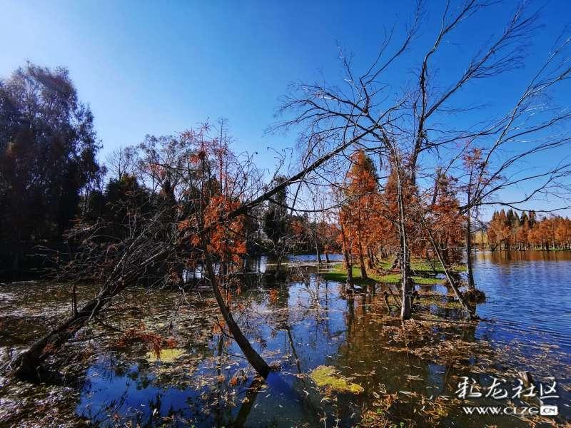 《幻兽帕鲁》在线人数超《鹅鸭杀》，进入历史前十